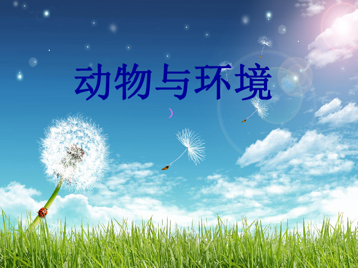 一张纸的成长之旅与励志人生探索