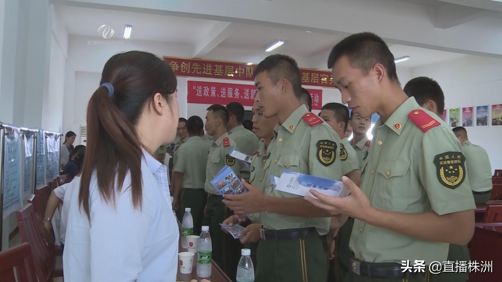 株洲最新招聘热点分析与观点阐述