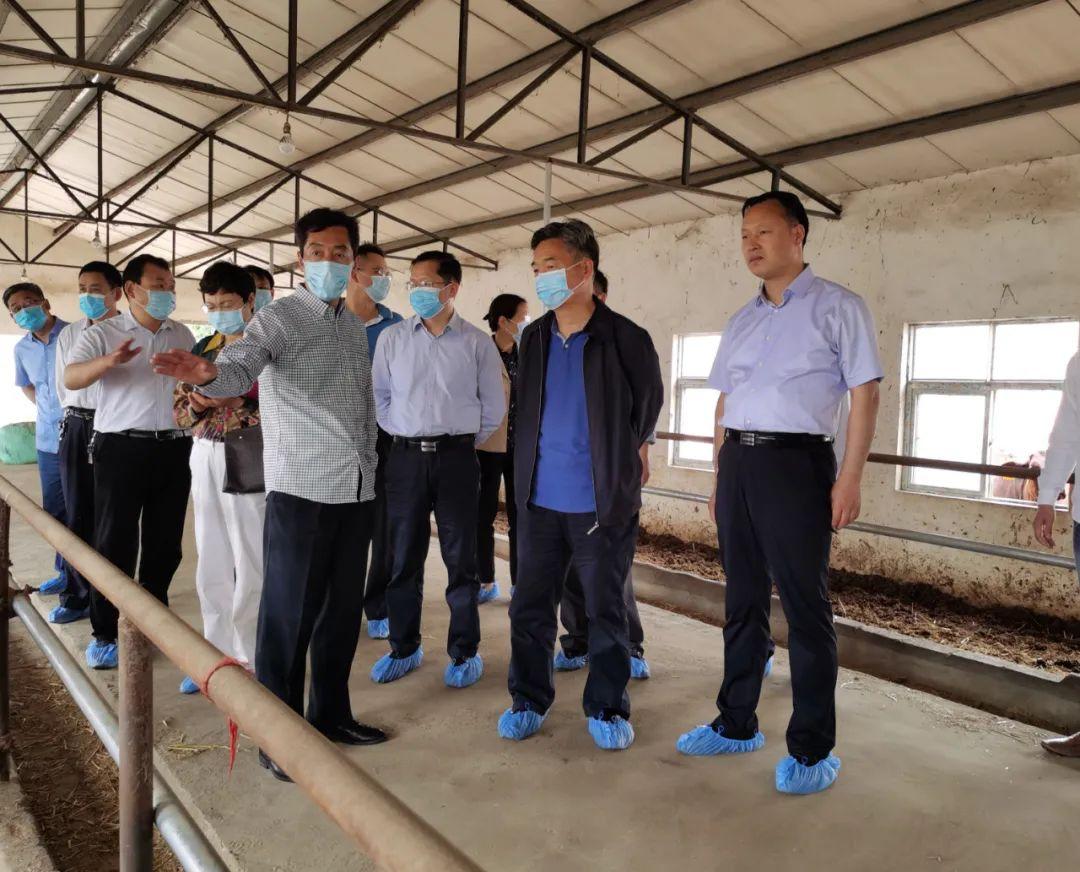 郏县高科技产品引领未来，科技魅力改变生活体验新篇章