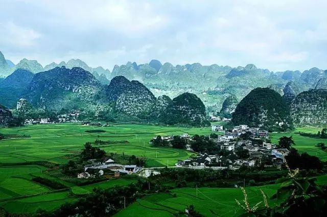 财务造假背后的心灵之旅，回归自然美景的探索