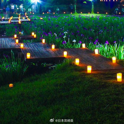 夜夜鲁最新2015，自然美景的治愈之旅探索