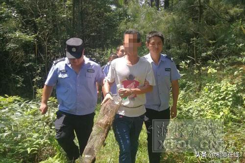 最新笼蛇技巧引领新时代风潮，高科技重塑生活，笼蛇技巧成焦点