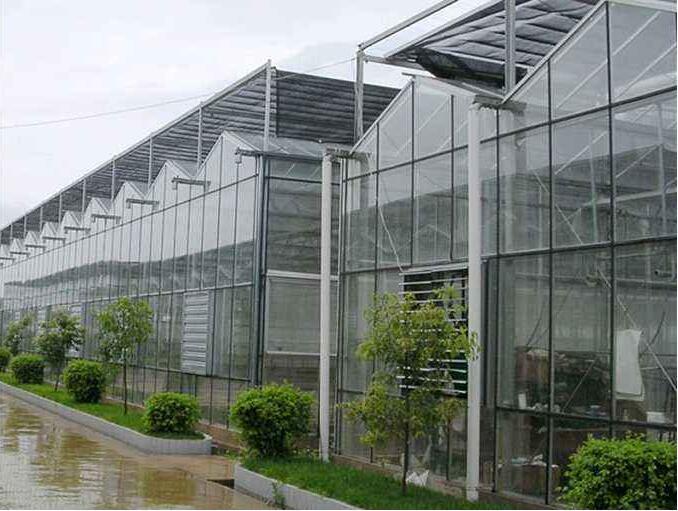 大棚最新加温方法详解，从入门到进阶的实用指南