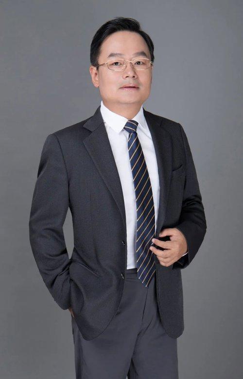 最新股市回顾，入门指南与深度解析