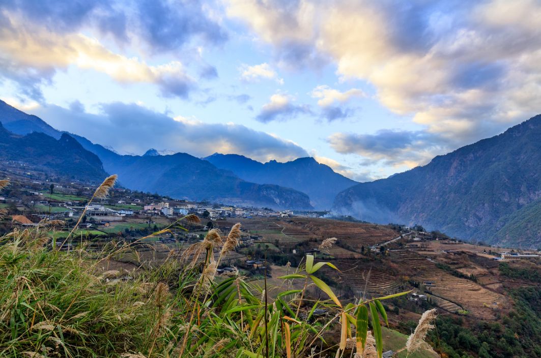 三七最新价格与一场自然美景的探险之旅