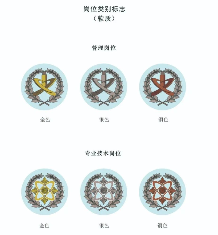 最新文职帽徽详解，细节解析与应用意义探讨