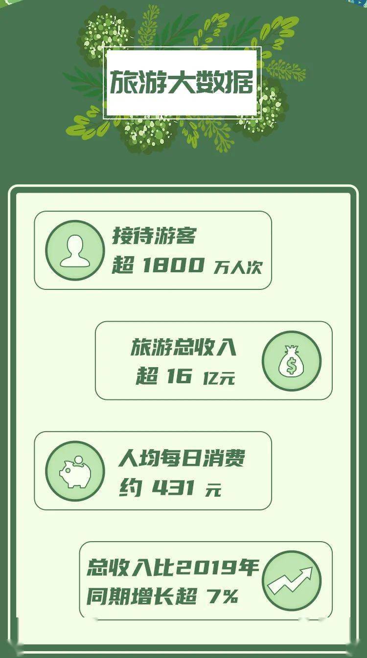 最新片头1深度探讨，某某观点的分析与阐述