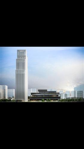 杭萧钢构股票股吧，钢铁行业的翘楚分析