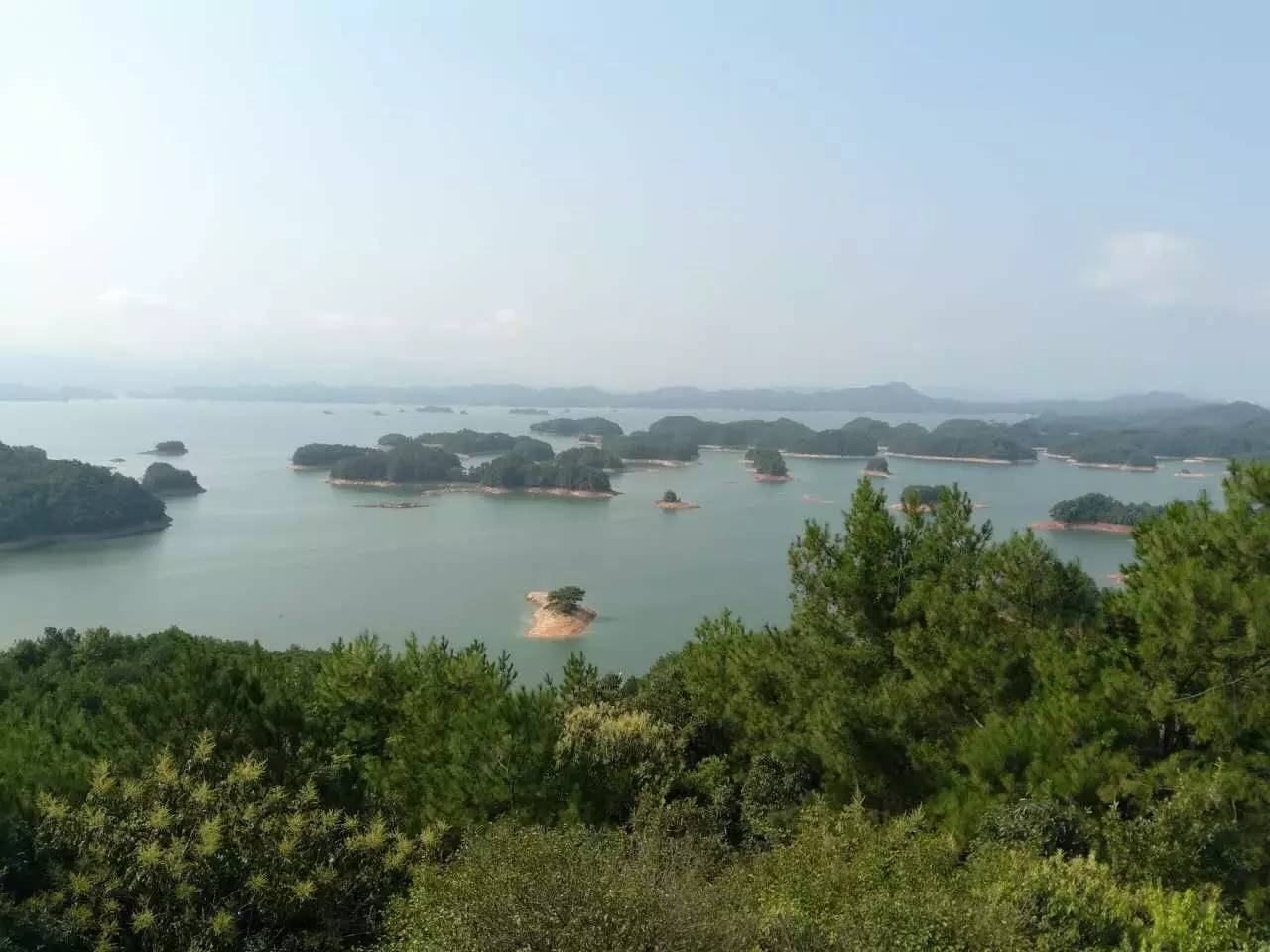 户县房价最新动态，与自然美景共筑心灵之旅，探寻平和宁静的理想家园