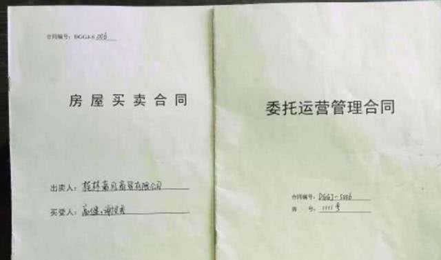最新房产证观点论述解析