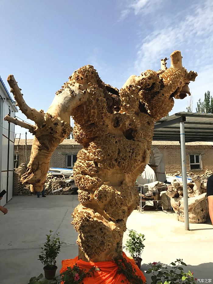 胡杨根雕行情，友情与传承的温馨篇章