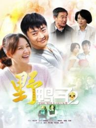 电视剧野鸭子第二部，观看指南与剧情解析