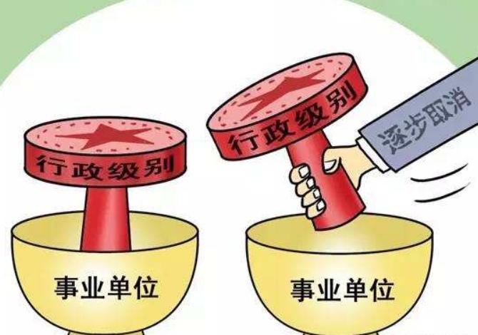 乡镇改革最新方案及其温馨日常故事概述