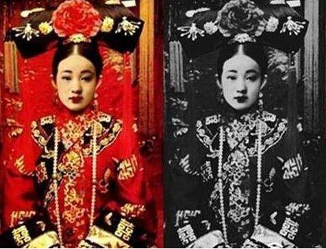 最新车款带你驶向自然，探寻内心宁静之旅