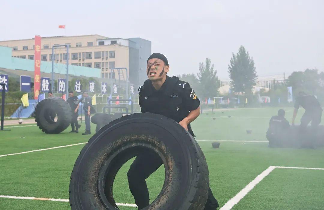 最新辅警证件，现代化警务管理的标志性进步