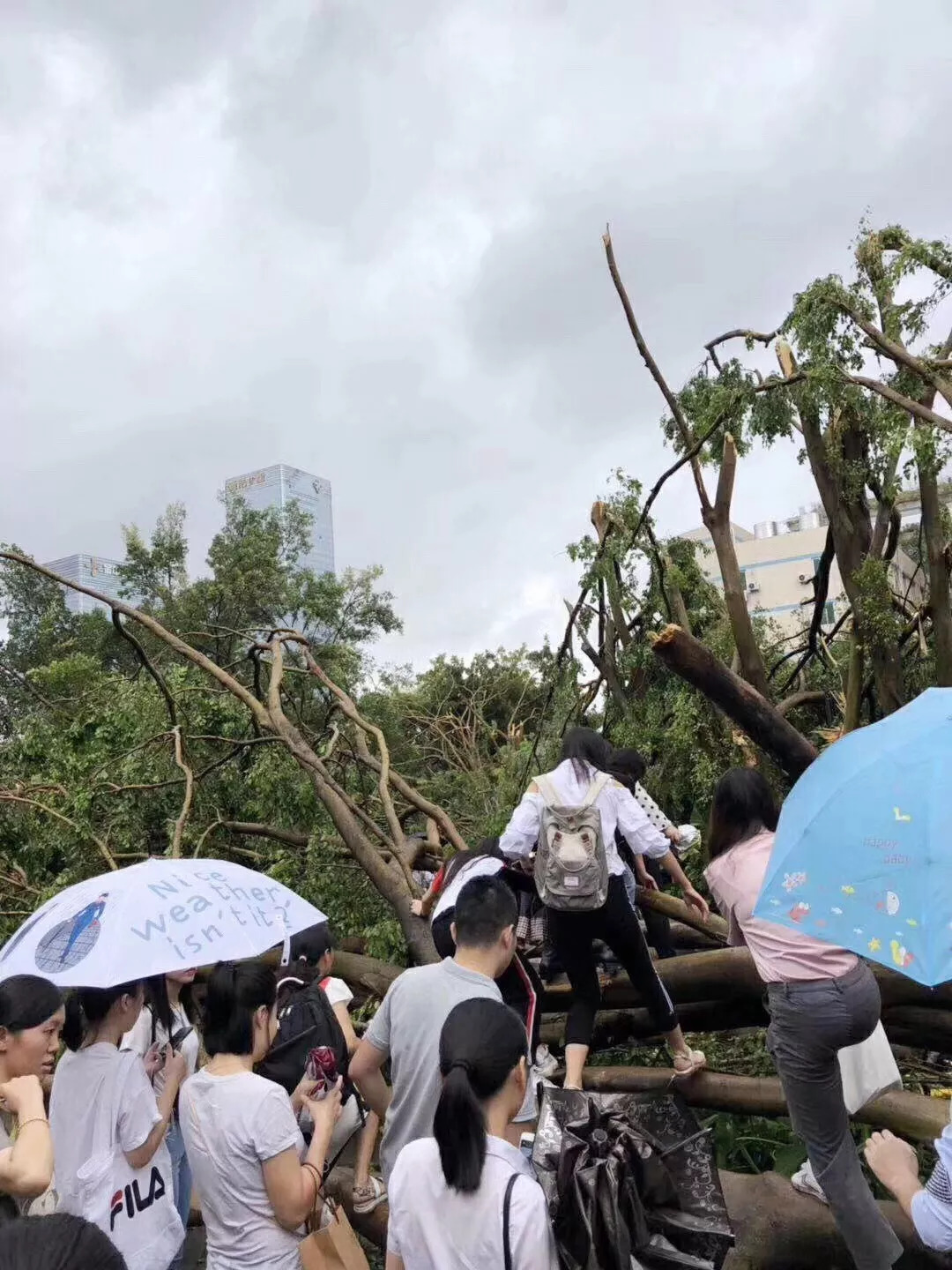 深圳台风最新动态下的温馨日常故事