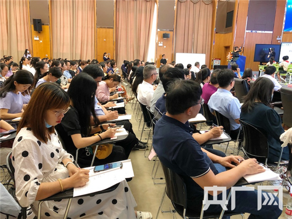 提升收益能力，最新收益详解与实战步骤指南