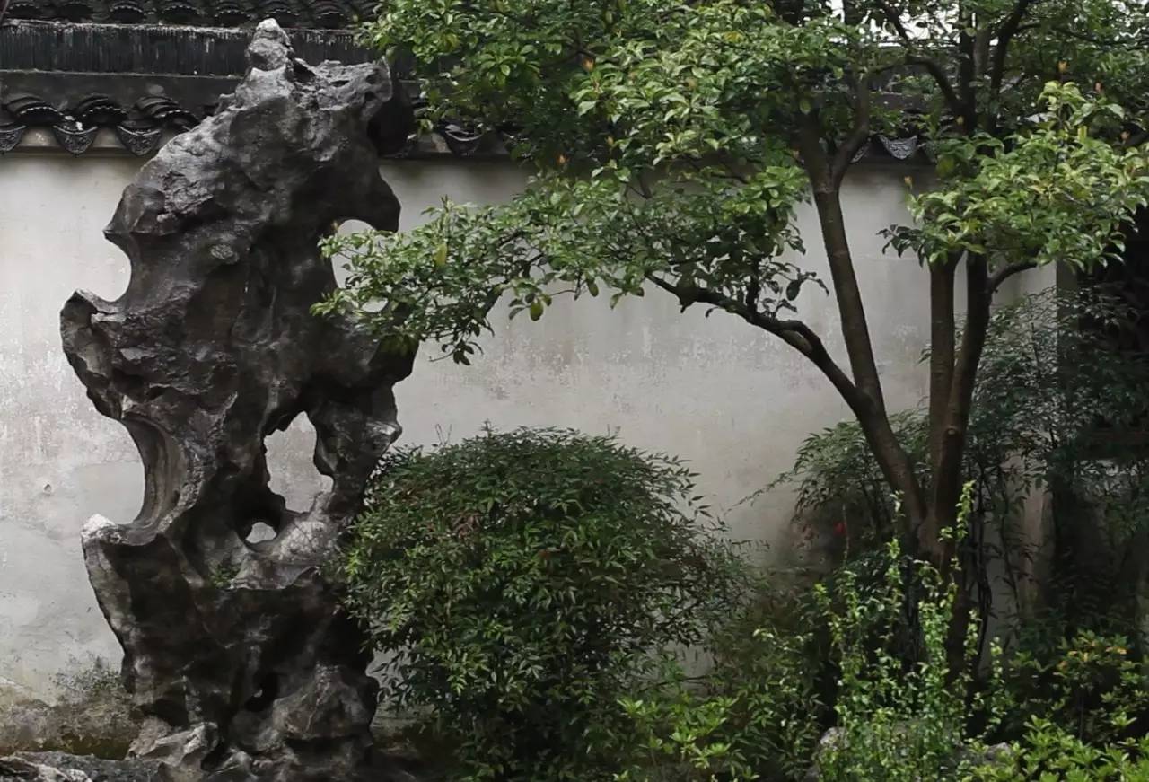 紫薇圣人最新动态，背景追溯、时代影响与独特地位探寻