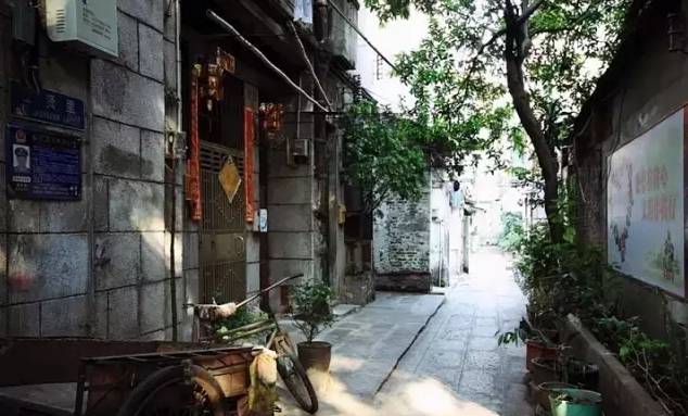 砀山小巷深处的特色小店，最新新闻与独特美食的惊喜之旅