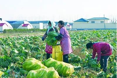 永年最新事件，学习种植技术，共建绿色家园
