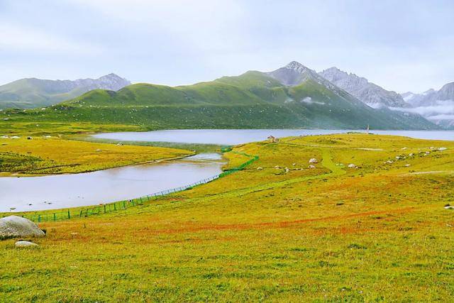 文交所最新动态，自然美景之旅，探寻内心宁静与平和的旅程