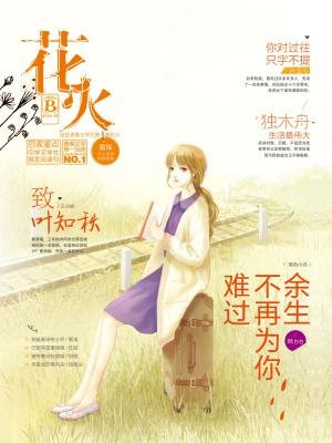 花火最新小说，燃烧青春，梦想启航