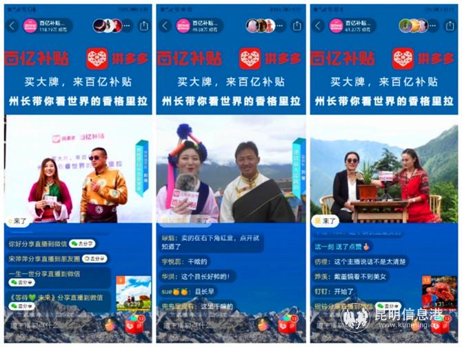 香格里拉最新招聘启幕，科技之旅的起点