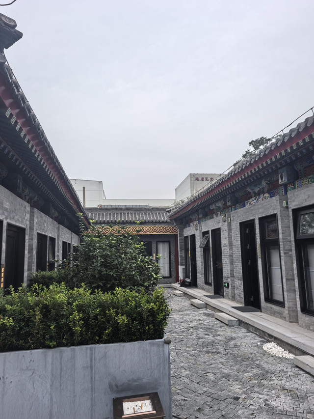 怡春院最新动态揭秘，现代娱乐新风尚的脉搏