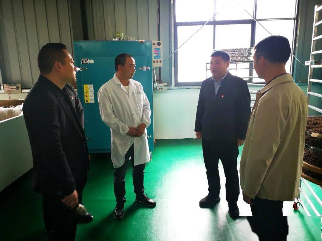 江油规划最新动态，热议中的城市蓬勃发展之路