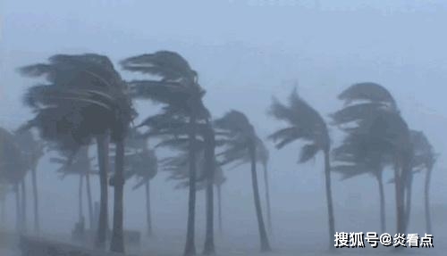 丽水台风最新动态，风雨中的励志故事，自信与成长的交响曲