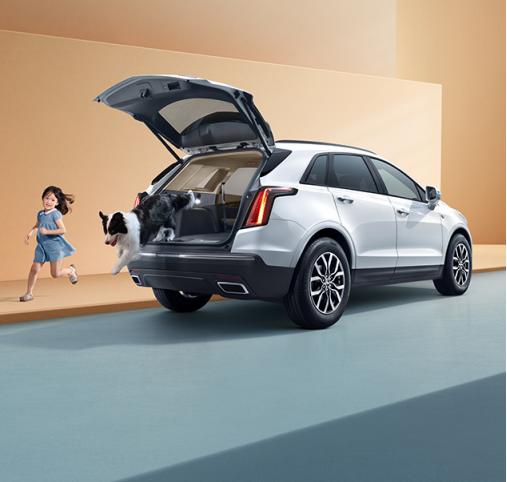 XC60新时代的崛起及其影响力