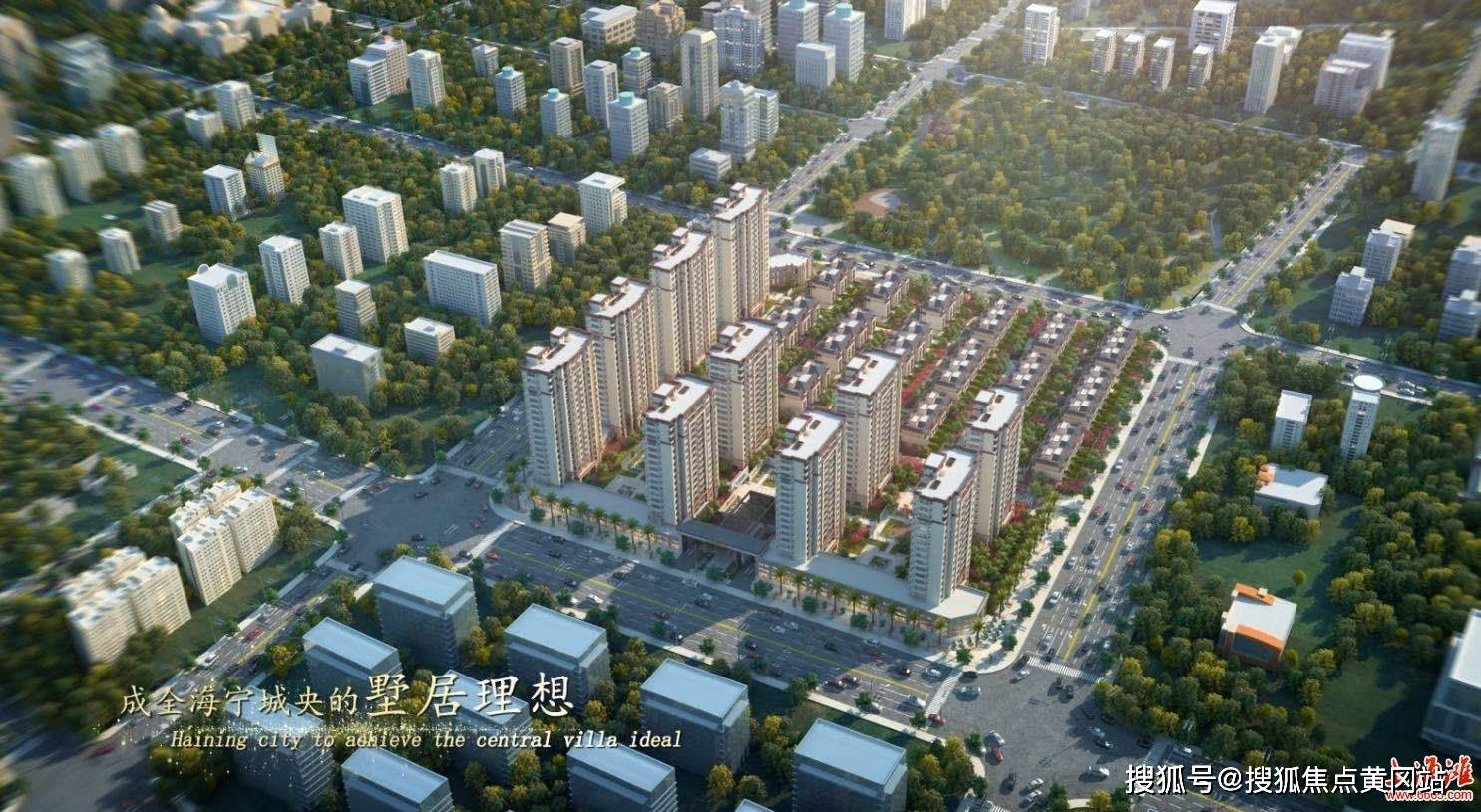 深度解析与观点阐述