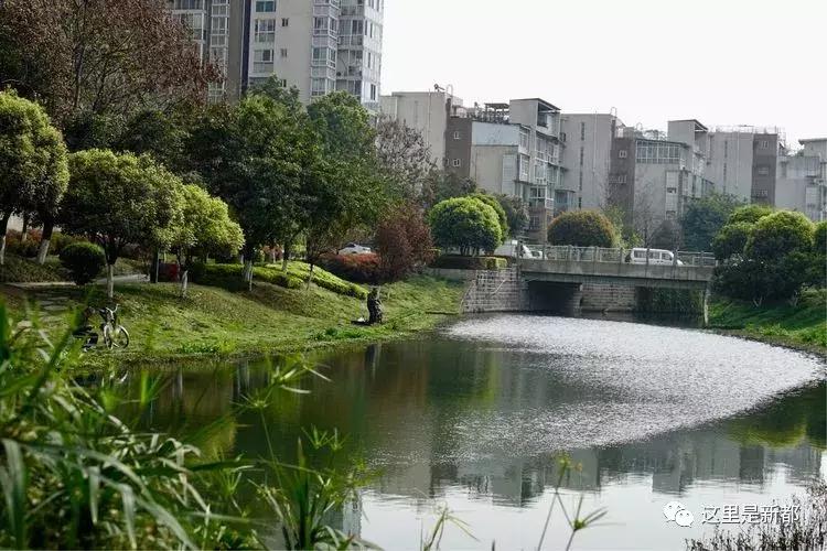 禾辉云文化科技 第9页