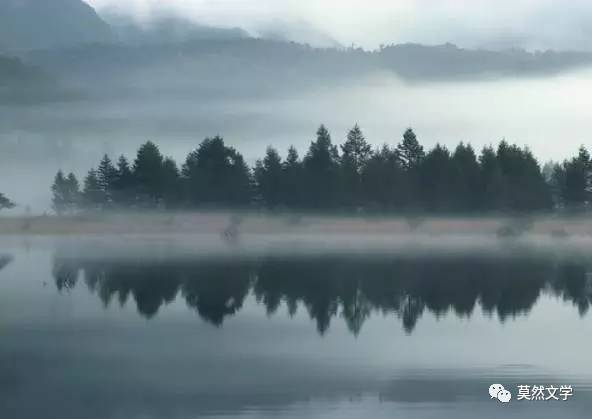 2017山水原著最新消息揭秘，小巷深处的隐藏瑰宝