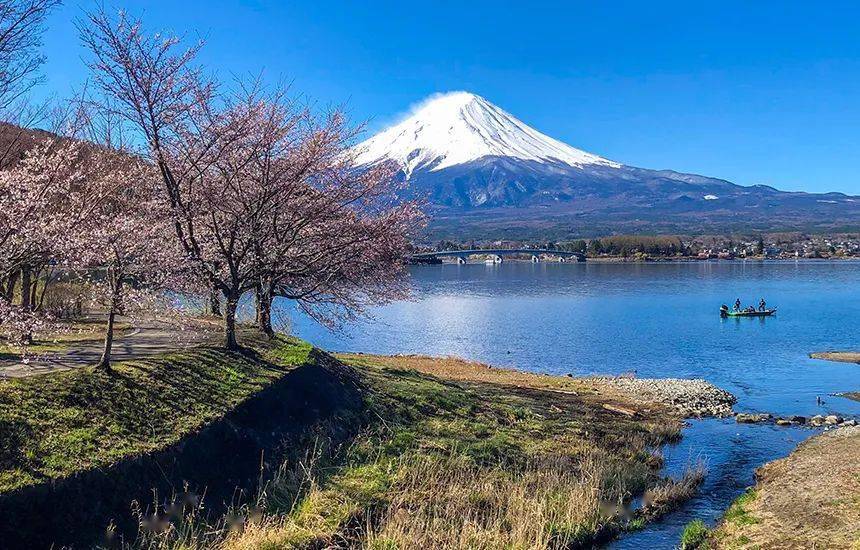 富士山盒子最新地址