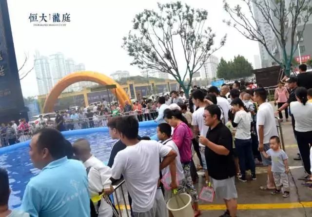 唐山恒大龙庭最新动态，日常趣事与友情的温馨纽带